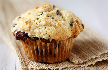 Chocolate Chip Muffin